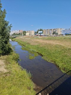 Проблемы с поливом на набережных: сухая погода продолжается